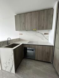Leedon Green (D10), Condominium #558138541